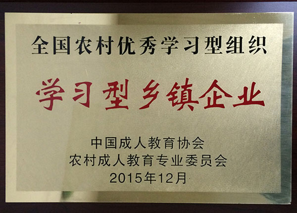 25学习型乡镇企业